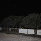 Awatar dla felito1