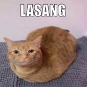 Avatar for katthekat69