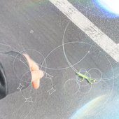 mantis