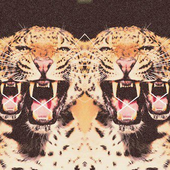 Avatar for lolostef