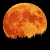 Avatar für MoonManiac