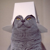 Chipofhatred için avatar