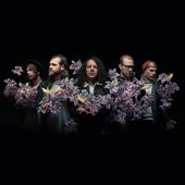 A Lot Like Birds 2017