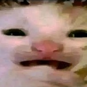 Avatar di its_miau