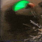 Avatar for oka314
