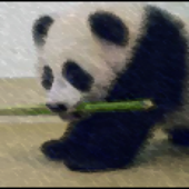 Avatar für pandaF3N