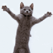 Avatar for ANNABEATSYOUALL