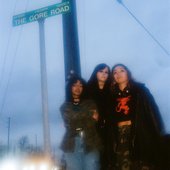 THE GORE ROAD