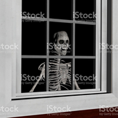 Avatar für skeletonwindow