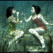 Avatar for asia1403