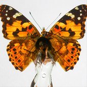 Bullet with Butterfly Wings - Single
