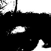 Avatar for NorthNOISE