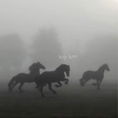 Boy Bite - Single