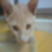 Avatar for onlytmrw