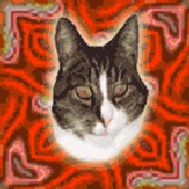 Avatar for tuhpawarez