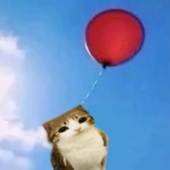 Avatar for CondorRising