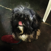 Avatar for thejentaps