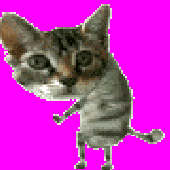Avatar for jhaliath