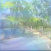 Leaving Micronesia™