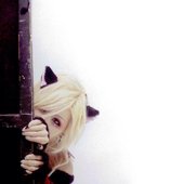 Kuroneko_amino.jpg