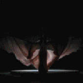 Avatar for xxjohnxx