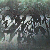 Avatar di silentdecay