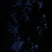 Avatar for Soundoftheblue