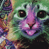 Avatar for nesetozgur