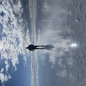 Avatar for PartBionic