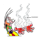 Avatar for bruhknownu