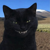 Avatar di calci-fer