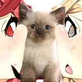 Avatar for Woopwoopsound