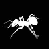 Avatar für possibleworldz