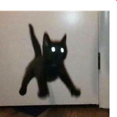 Avatar for Lickycat