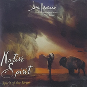 D_NQ_NP_2X_826311-MLB114851472533_072026-F-cd-ava-marie-native-spirit-spirit-of-the-drum-1999-original.png
