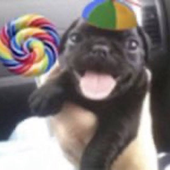 Avatar for Gomesyvl