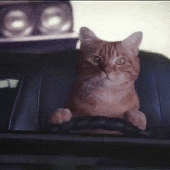 Avatar für Bibbles3