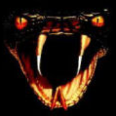 Avatar für StaryWilly