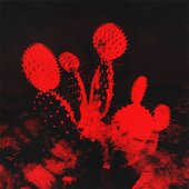 Melt'd (deluxe) [Explicit]