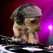 Avatar de Xasodios