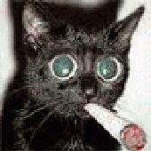 Avatar di jellyfuntime