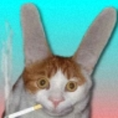 Avatar for Velotraktorist