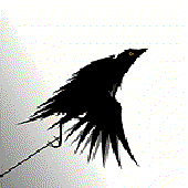 Avatar for kqjn