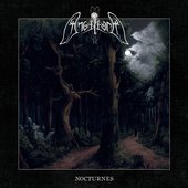 Nocturnes