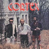 cortex_3.JPG