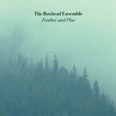 Feather And Pine