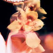 Avatar for abbie_44