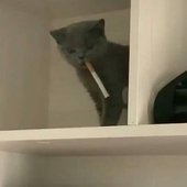 Avatar für nminty
