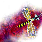 Avatar for Amelioration