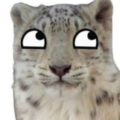 Awatar dla ItsWeirdCat